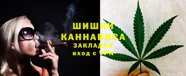 дмт Гусь-Хрустальный