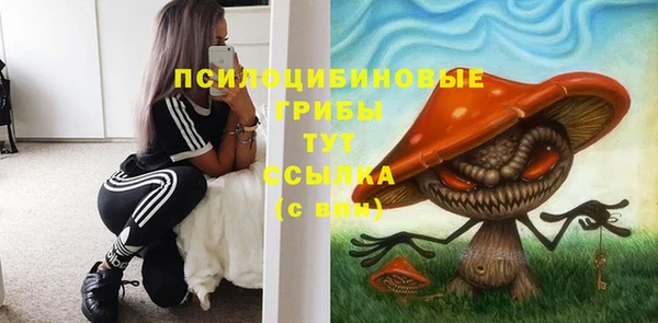 марки lsd Гусев