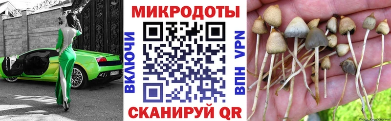 Галлюциногенные грибы GOLDEN TEACHER  МЕГА вход  Норильск 